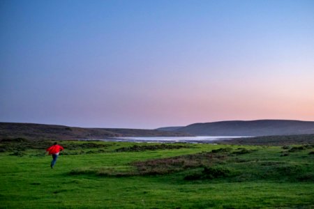 Point reyes station, United states, Nature