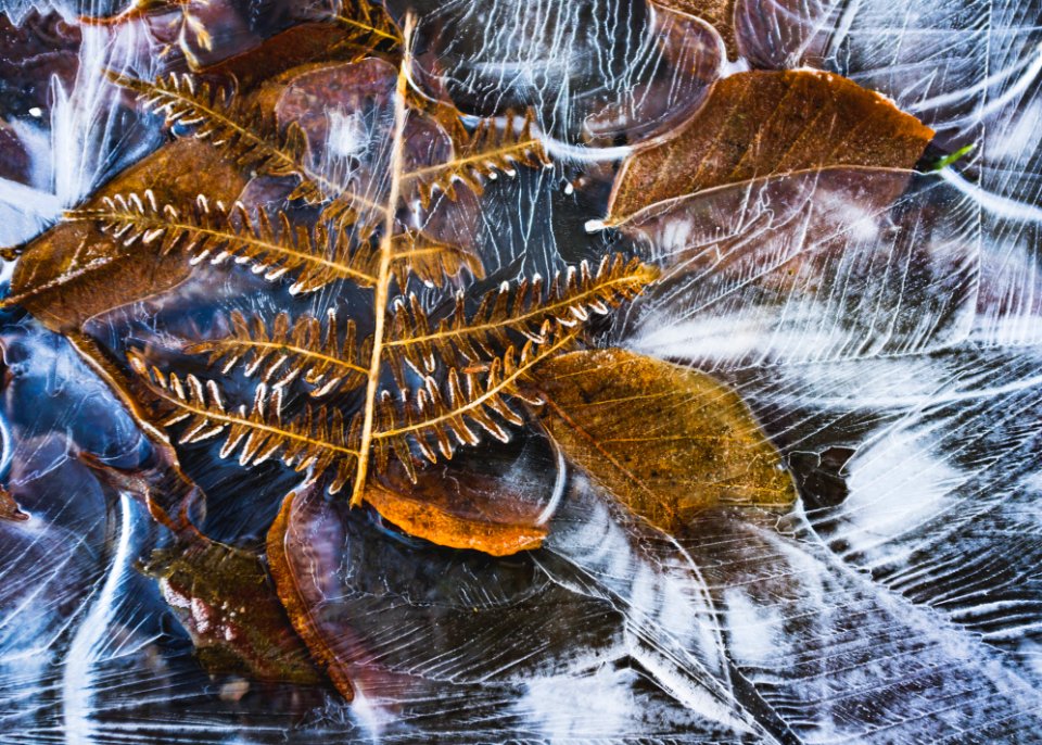 Scotl, United kingdom, Outdoors