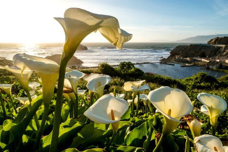 Sutro baths, San francisco, United states