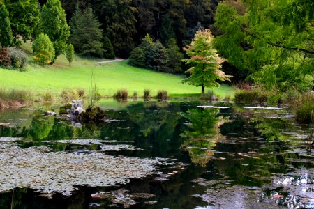 Arboretum du vallon de laubonne, Aubonne, Switzerl