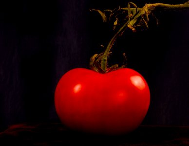 Red, Tomato, Still life tomato photo