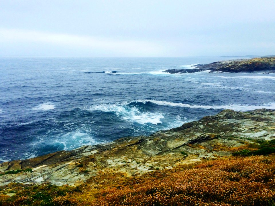 Waves, Ocean, Coast