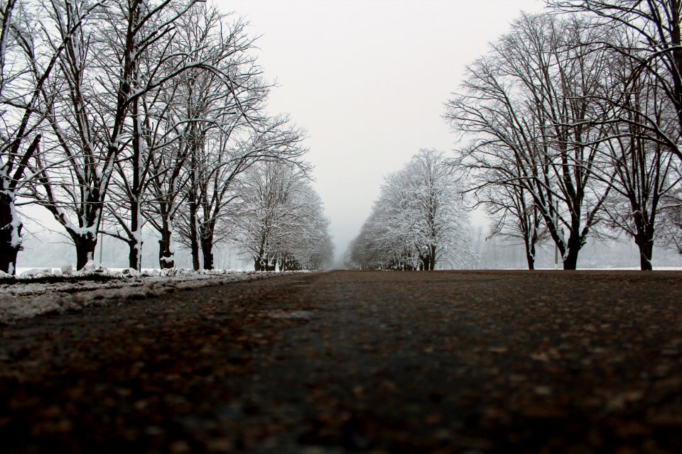 Russia, Asphalt, Road