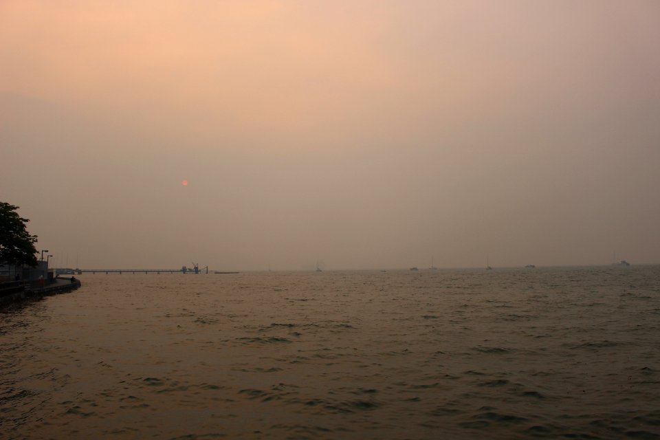 seashore under dark sky photo