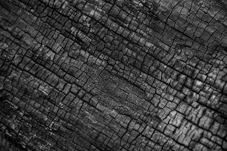 Wood texture natural