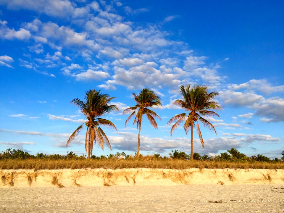 Captiva isl, United states, Background