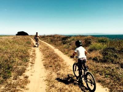 Park, Cliff, Ocean