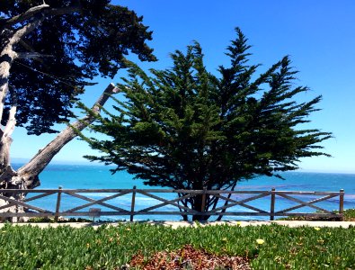 Santa cruz, United states, Summer