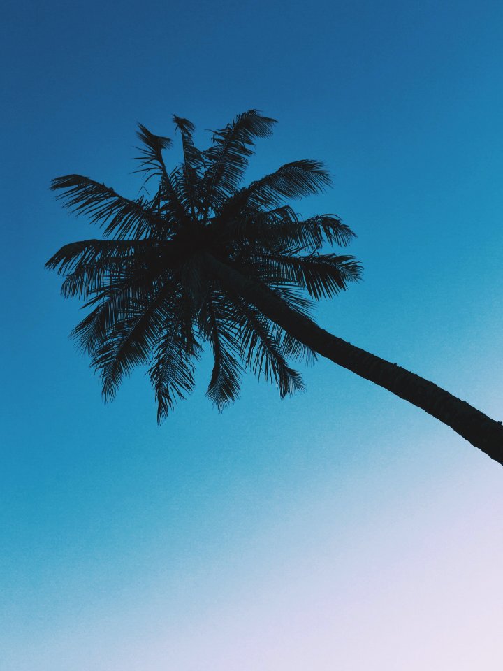 Fort myers beach, United states, Calm