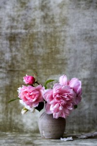 pink flowers on gray ceramic vase photo