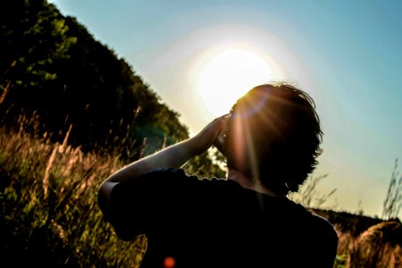 Nature, Evening, Camera