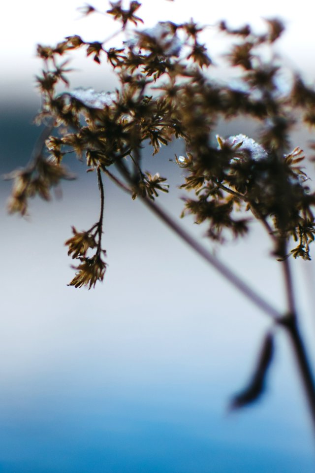Maine, United states, New engl