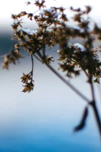 Maine, United states, New engl
