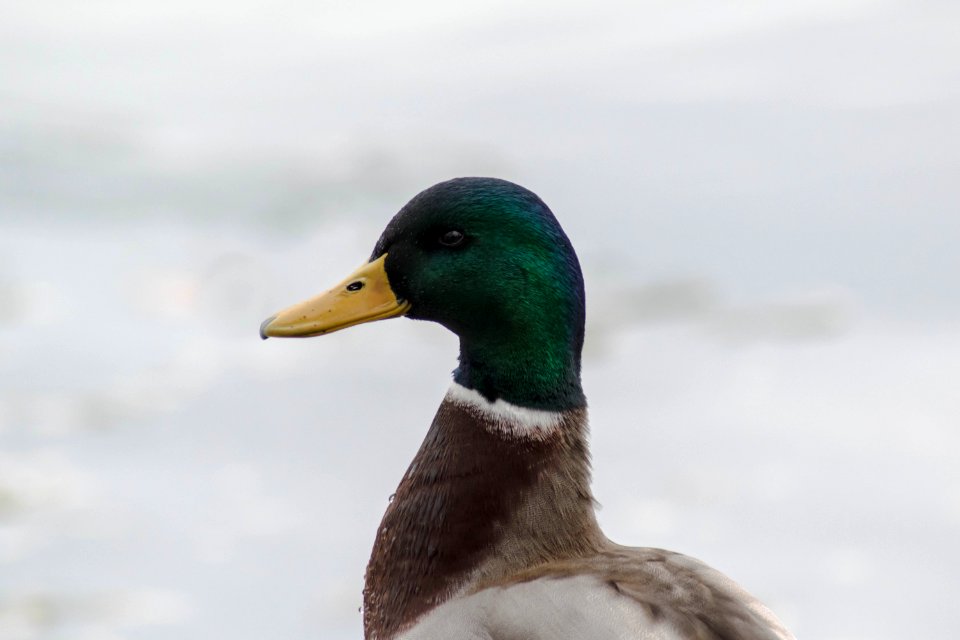 Vichy, France, Smiling