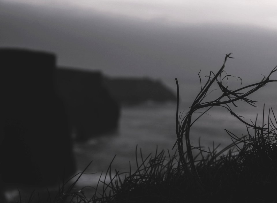 Irel, Moher, Grass