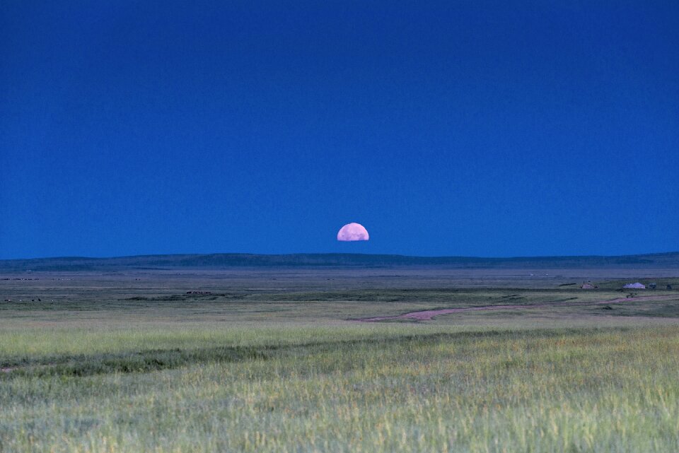 Horizon for march meadow