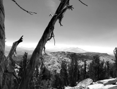 Yosemite national park, United states, Nature photo