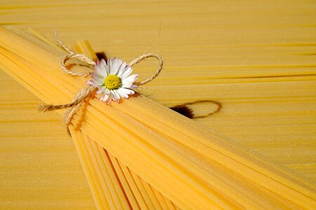Durum wheat yellow raw