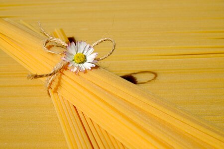 Durum wheat yellow raw photo