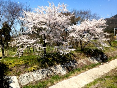 Japan, Mount ibuki, Maibara