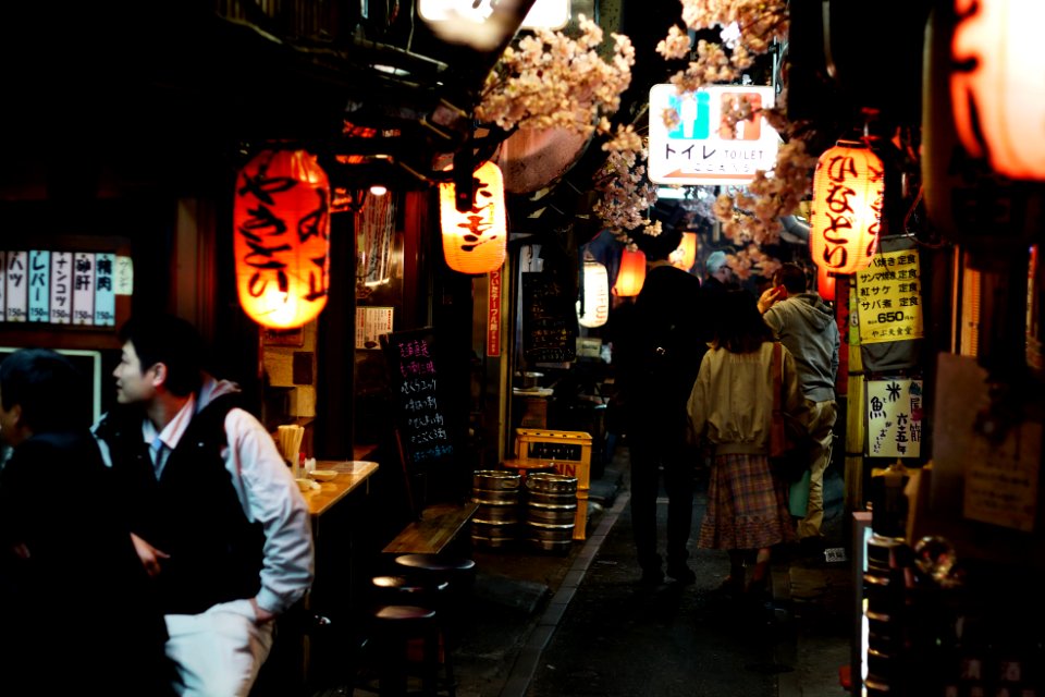 Japan, Shinjuku omoide yokocho, Shinjukuku