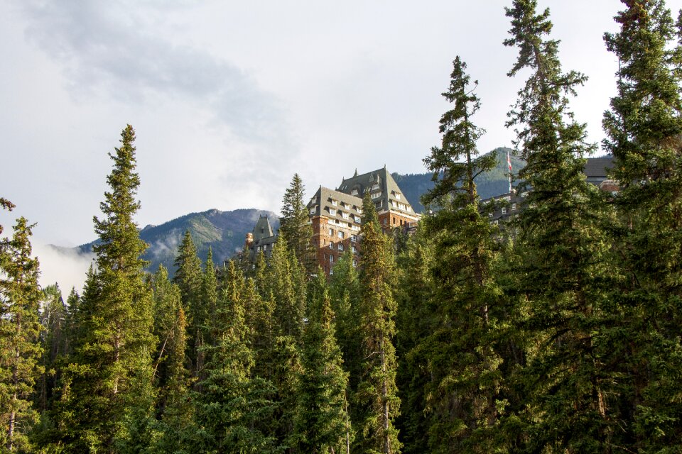 Canada forest mountain