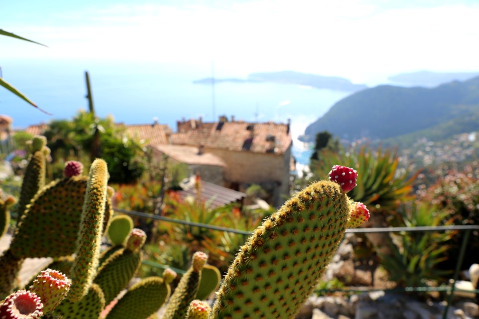 France,  ze, South of france