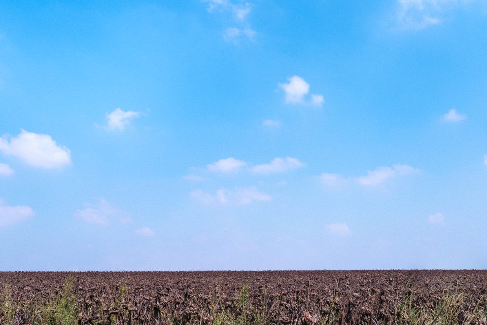 Israel, Horizon, Brown
