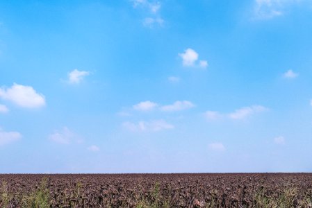 Israel, Horizon, Brown