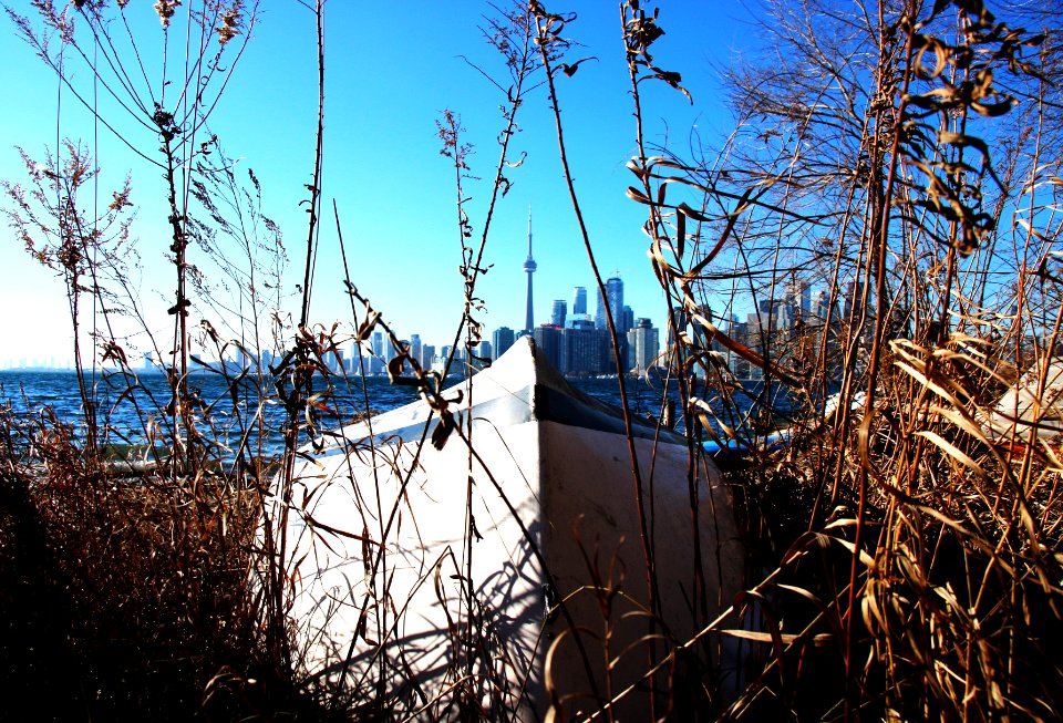 Toronto, Ward s isl, Canada