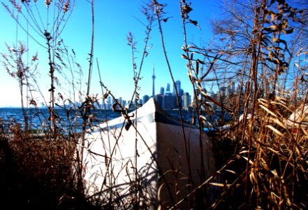 Toronto, Ward s isl, Canada