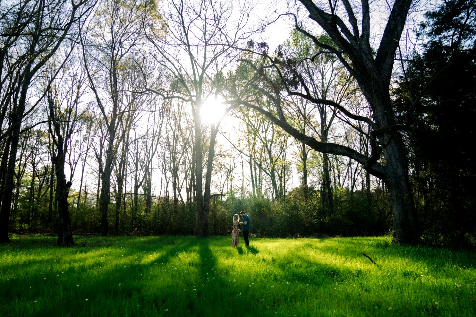woman and man under green leaf trees during daytime