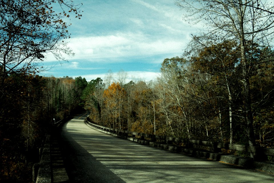Sipsey, United states, Hiking