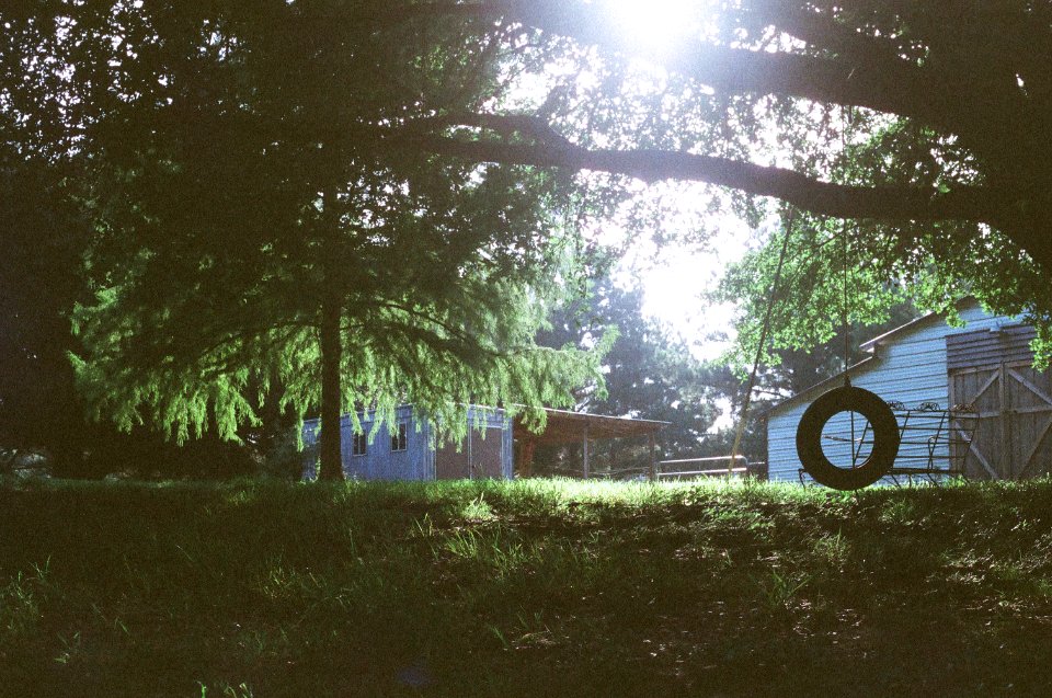 Jackson, United states, Nature