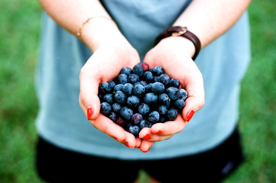 person showing blue berries