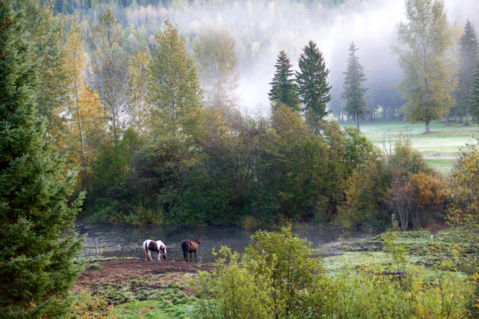 Britischkolumbien, Kanada