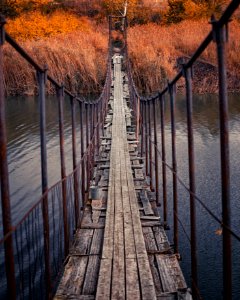 Autumn, Suspension bridge, Riverside photo