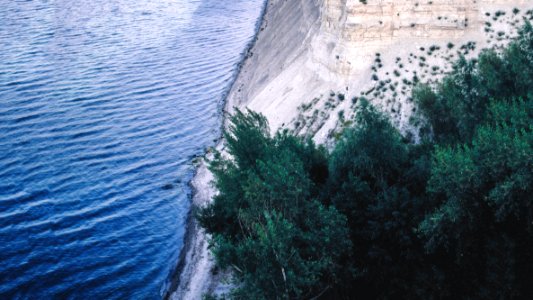 Forest, Break, Shoreline