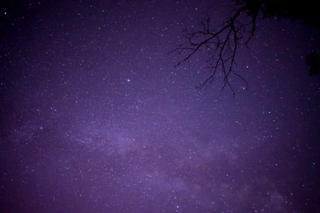 Night sky, Stars photo