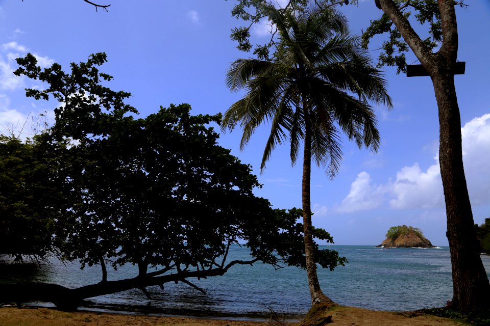 Isla drake, Panama, Col n