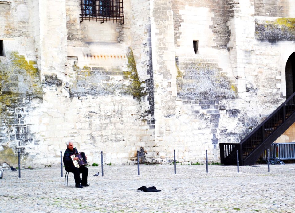 Musician, Music, Accordion