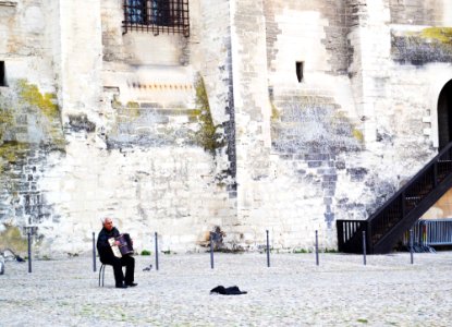 Musician, Music, Accordion photo