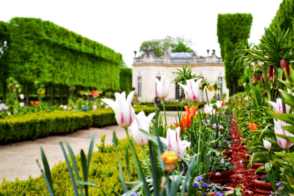 France