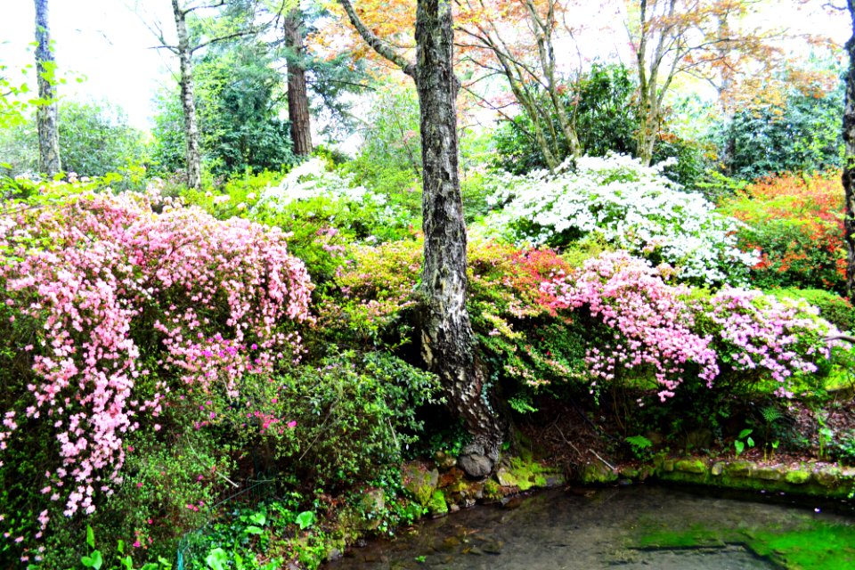 Hogsback, South africa, Love