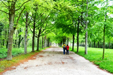 Versailles, France, Fresh