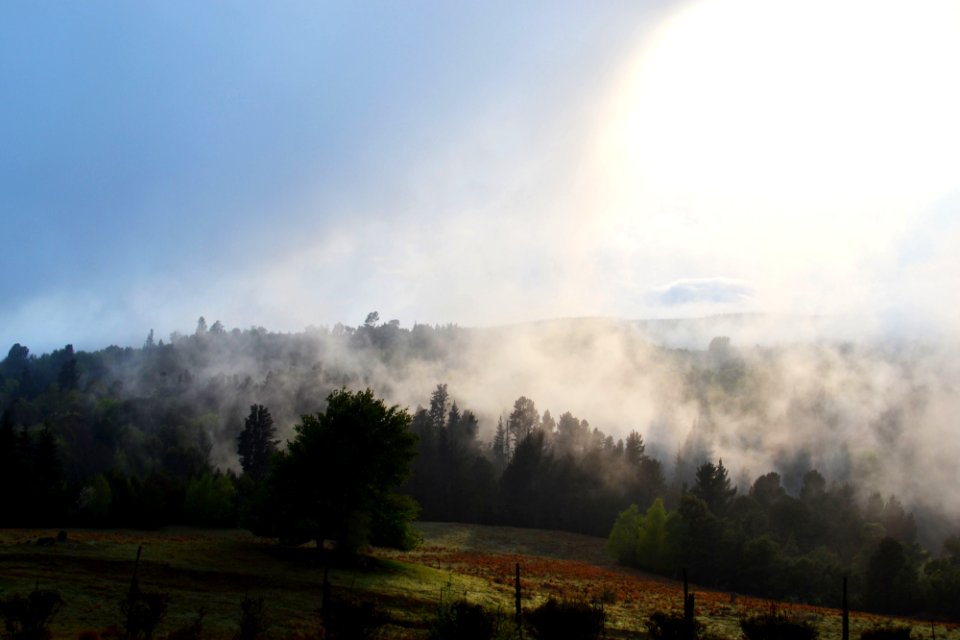 Hogsback, South africa