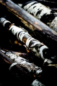 La massana, Orre, Stacks