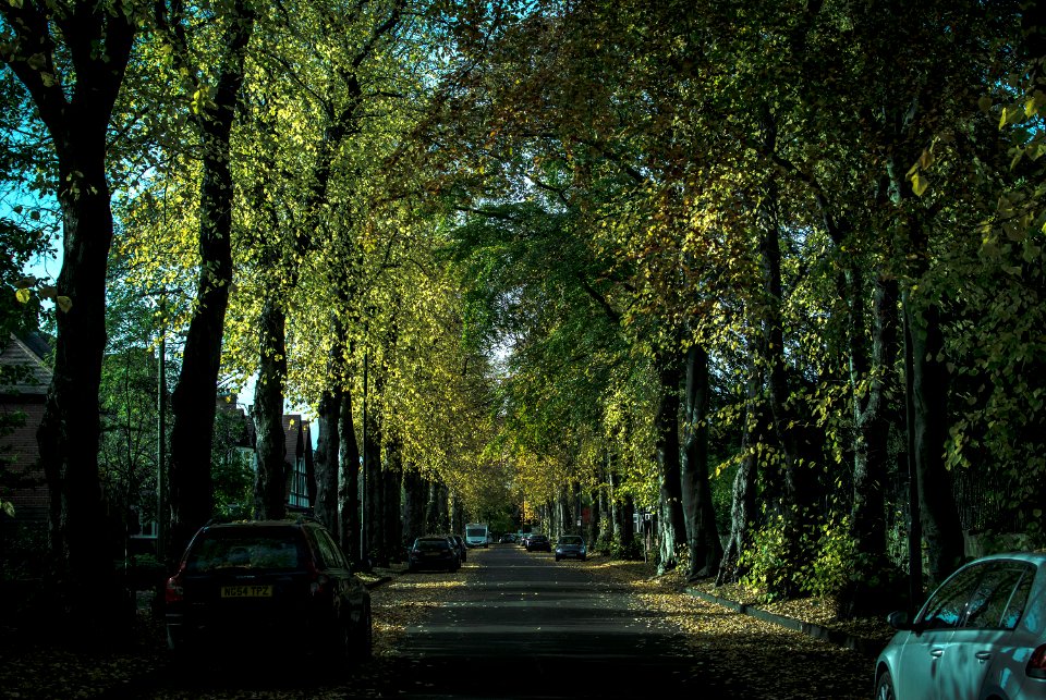 Jesmond, Newcastle upon tyne, United kingdom