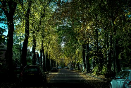 Jesmond, Newcastle upon tyne, United kingdom photo