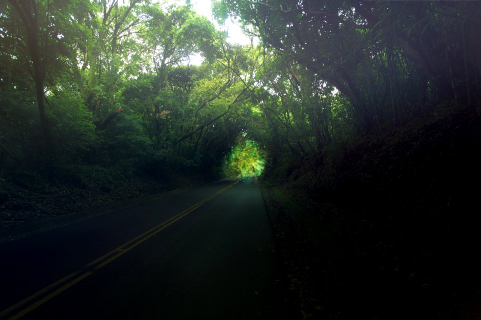 Pali highway, Honolulu, United states